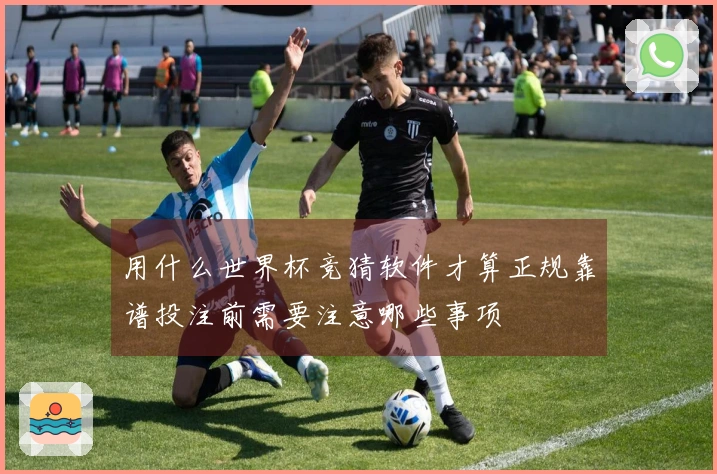 用什么世界杯竞猜软件才算正规靠谱投注前需要注意哪些事项