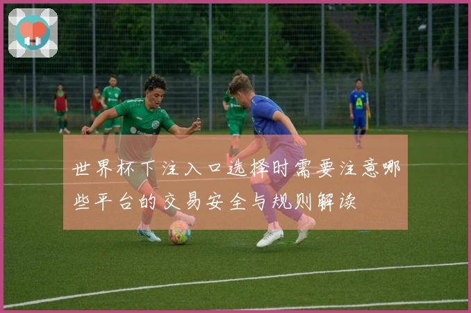 世界杯下注入口选择时需要注意哪些平台的交易安全与规则解读