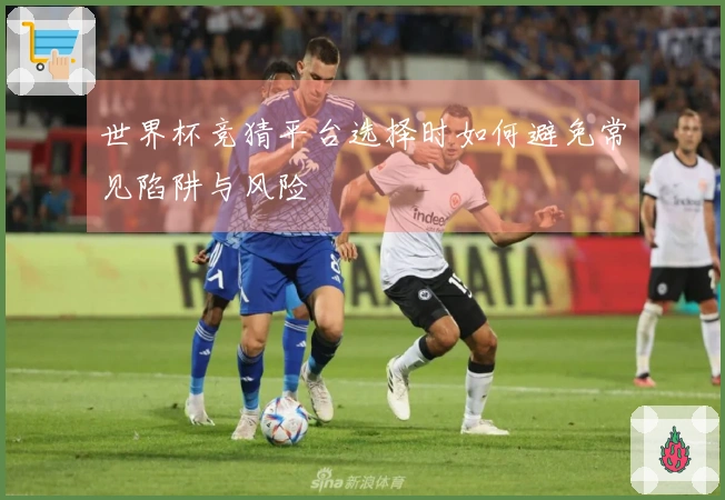 世界杯竞猜平台选择时如何避免常见陷阱与风险