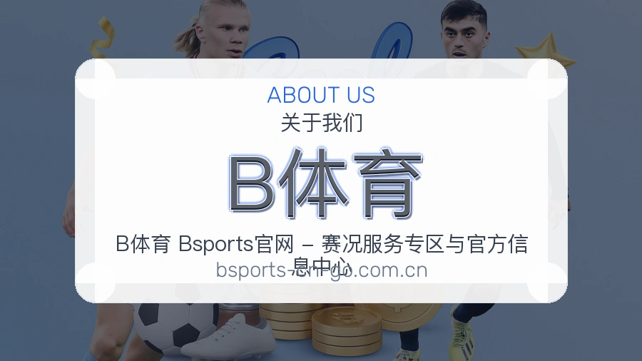 B体育平台简介展示